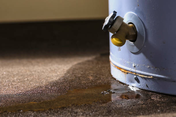 Best Carpet water damage restoration  in Whitesboro, TX