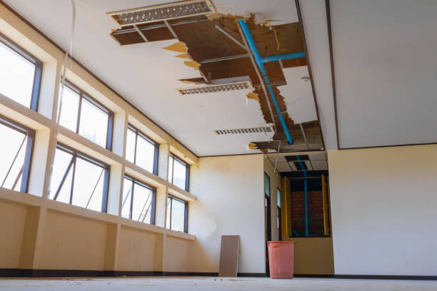 Best Local water damage restoration  in Whitesboro, TX