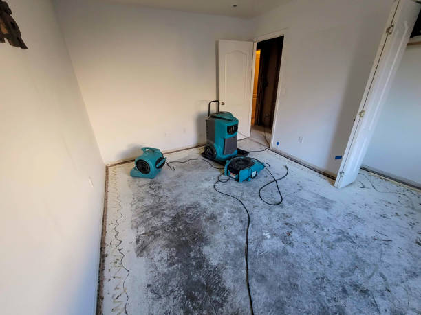 Best Flooded house restoration  in Whitesboro, TX