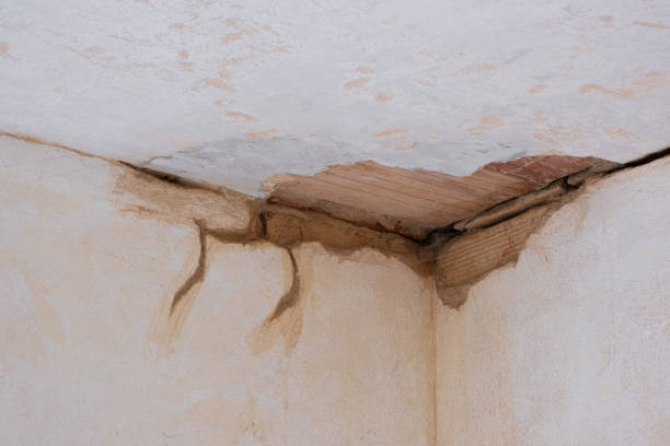 Best Basement water damage restoration  in Whitesboro, TX