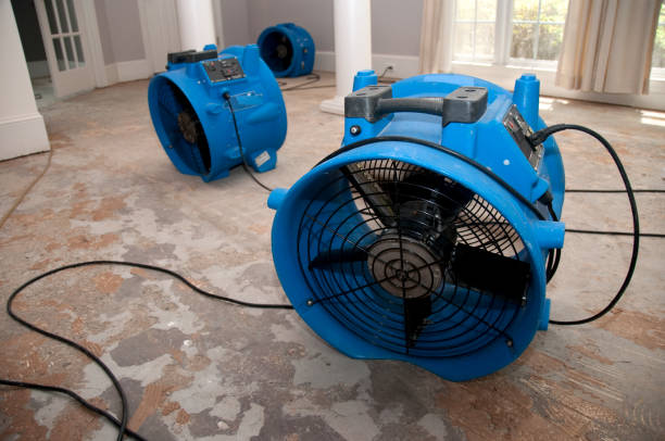 Best Flooded house restoration  in Whitesboro, TX