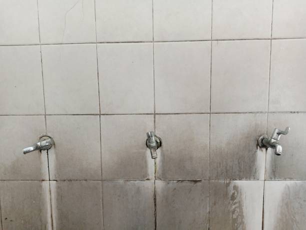 Best Ceiling water damage repair  in Whitesboro, TX